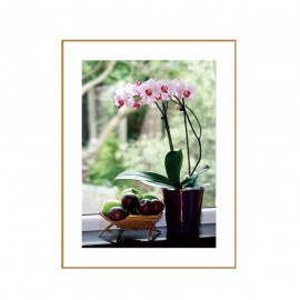 Cuadro Jd-2608 Orquidia 45X60 CasaMia - Envío Gratuito