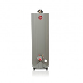 Calentador de Agua Rheem Gas Natural 29V40 - Envío Gratuito