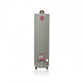 Calentador de Agua Rheem Gas Embotellado 29V30 - Envío Gratuito