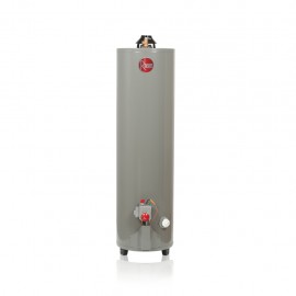 Calentador de Agua Rheem Gas Natural 29V30 - Envío Gratuito