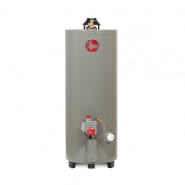 Calentador de Agua Rheem Gas Natural 29V20 - Envío Gratuito