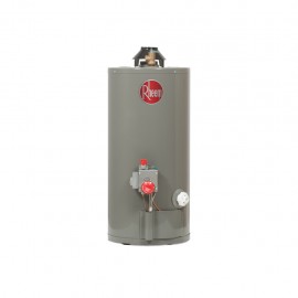 Calentador de Agua Rheem Gas Embotellado 29V10 - Envío Gratuito