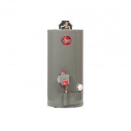 Calentador de Agua Rheem Gas Natural 29V10 - Envío Gratuito